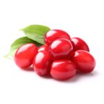 Owocowa elita (dereń jadalny) wys. 30-50 cm don. P9/C1