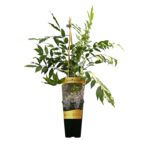 Glicynia C2 60 x 11 cm mix