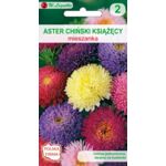Aster chiński książęcy mieszanka 50-80 cm W.Legutko