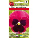 Bratek wielkokwiatowy różowy z plamą 0,5 g gc. 3 W.Legutko