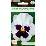 Bratek wielkokwiatowy biały z plamą 0,5 g gc. 3 W.Legutko