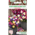 Astry do uprawy na kwiat cięty mieszanka 60-80 cm W.Legutko