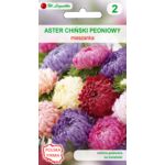 Aster chiński peoniowy mieszanka 50-80 cm W.Legutko