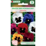 Bratek wielkokwiatowy mieszanka 0,5 g gc. 3 W.Legutko