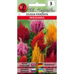 Celozja pierzasta mieszanka 20-30 cm W.Legutko