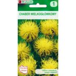 Chaber wielkogłówkowy żółty 80-100 cm W.Legutko