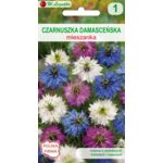 Czarnuszka damasceńska mieszanka 50 cm W.Legutko