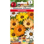 Dimorfoteka mieszanka 20-40 cm W.Legutko