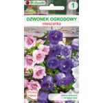Dzwonek ogrodowy mieszanka 80-90 cm W.Legutko