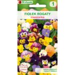 Fiołek rogaty mieszanka 15-20 cm W.Legutko