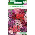 Floks gwiaździsty mieszanka 20-30 cm W.Legutko