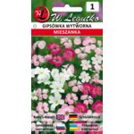 Gipsówka wytworna mieszanka 40-50 cm W.Legutko