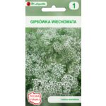 Gipsówka wiechowata biała 100-120 cm W.Legutko