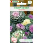Kapusta ozdobna mieszanka 20-30 cm W.Legutko