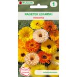 Nagietek lekarski mieszanka 50-60 cm W.Legutko