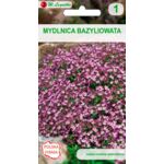 Mydlnica bazyliowata różowa 15-20 cm W.Legutko