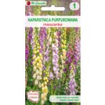 Naparstnica purpurowa mieszanka 70-100 cm W.Legutko