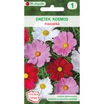 Onętek, Kosmos mieszanka 80-120 cm W.Legutko