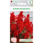 Nasiona szałwii błyszczącej czerwona 0,4 g gc. 3 W.Legutko