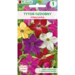 Tytoń ozdobny mieszanka 40-100 cm W.Legutko