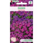 Żagwin ogrodowy mieszanka 10-15 cm W.Legutko