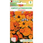 Kompozycja pomarańczowa 30-120 cm W.Legutko