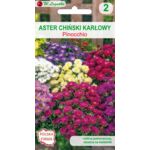 Aster chiński karłowy Pinocchio mieszanka 20-30 cm W.Legutko