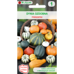 Dynia zwyczajna ozdobna 200-250 cm W.Legutko