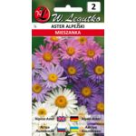 Aster alpejski mieszanka 20-30 cm W.Legutko