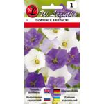 Dzwonek karpacki mieszanka 25-30 cm W.Legutko