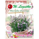 Maciejka dwuroga różowolawendowa 50 cm W.Legutko