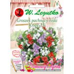 Groszek pachnący Knee-Hi mieszanka 40 cm W.Legutko