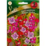 Lepnota, Kufea Summer Medley 40 cm W.Legutko