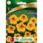 Nasturcja niska Lady Bird złota z czerwonymi plamkami 30-40 cm W.Legutko