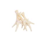 Przysmak kurze łapki białe 5 sztuk Comfy Appetit