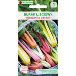 Burak liściowy mieszanka odmian W.Legutko