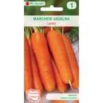 Marchew Lenka III-VI, XI W.Legutko