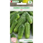 Ogórek gruntowy sałatkowy, krzaczasty Dar V W.Legutko