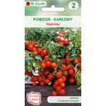Pomidor gruntowy karłowy wiotkołodygowy Maskotka W.Legutko