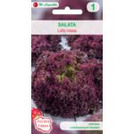 Sałata liściowa Lollo Rossa W.Legutko