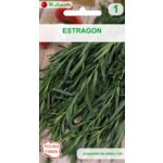 Estragon W.Legutko