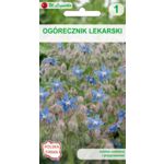 Ogórecznik lekarski W.Legutko