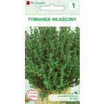 Tymianek właściwy W.Legutko