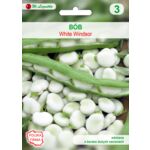 Bób ogrodowy Windsor biały 50 g gc. 3 W.Legutko