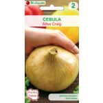 Cebula Ailsa Craig IV W.Legutko