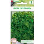 Mięta pieprzowa W.Legutko