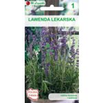 Lawenda lekarska W.Legutko