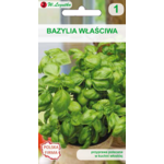 Bazylia właściwa zielonolistna VII-IX W.Legutko
