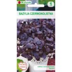Bazylia właściwa czerwonolistna W.Legutko