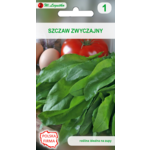 Szczaw zwyczajny W.Legutko